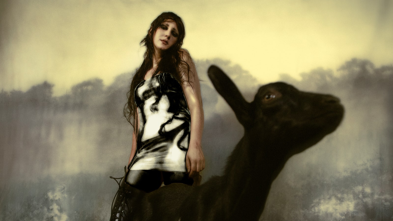 Circuit des Yeux Announces Album, Shares Video for New Song